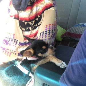 Meet your Posher, Carla